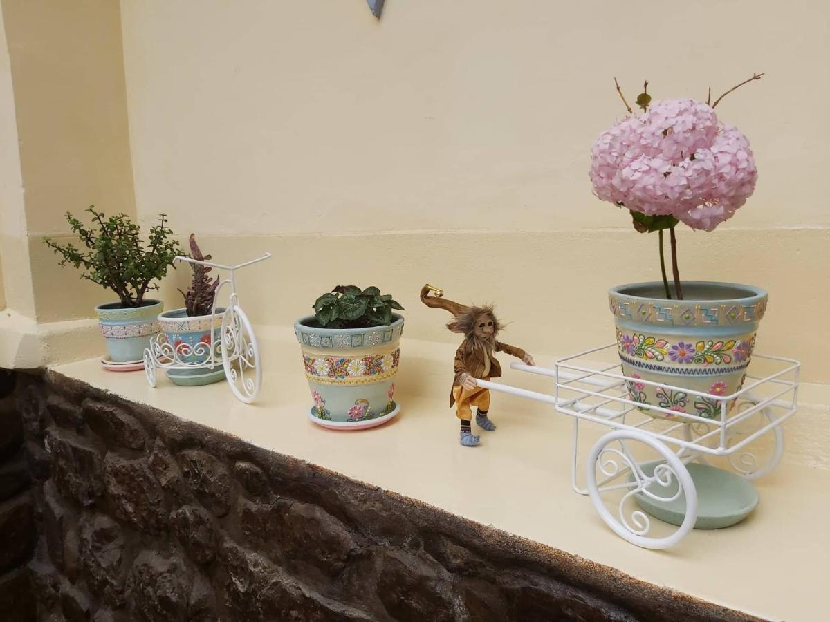 Andean Home Κούζκο Εξωτερικό φωτογραφία